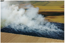 environmental benefits straw boards 2